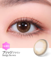 ブリッジブラウン (Bridge Brown)