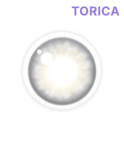 カスタムルックNO.3グレー (Customlook NO.03  Gray)