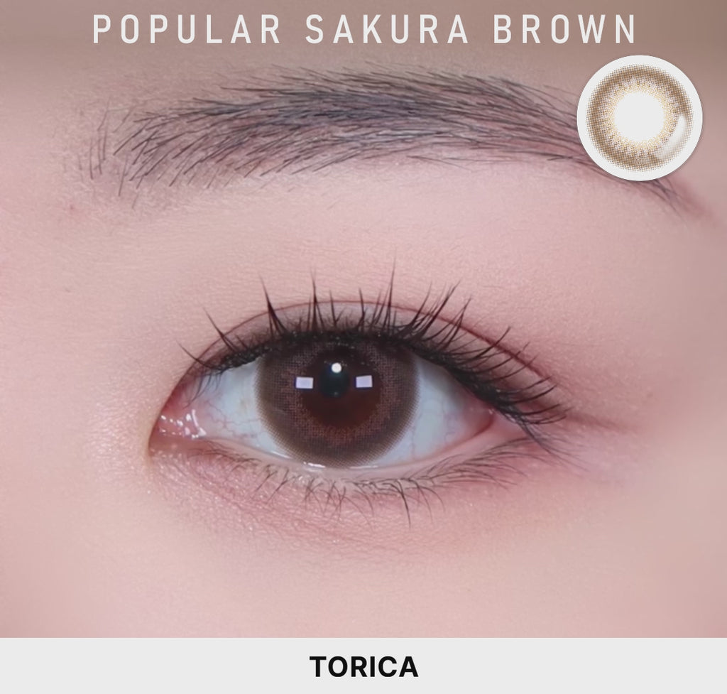 正規品ワンデー特価】フィグブラウン (Fig Brown) / 旧 サクラブラウン